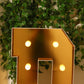 Giant LED Marquee Light Up Letter "D", Gold 4ft Pre-Cut Foam Board with 10 Warm White Battery Operated LEDs, Glue Gun and Sticks
