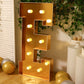 Giant LED Marquee Light Up Letter "E", Gold 4ft Pre-Cut Foam Board with 10 Warm White Battery Operated LEDs, Glue Gun and Sticks
