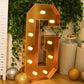 Giant LED Marquee Light Up Letter "G", Gold 4ft Pre-Cut Foam Board with 10 Warm White Battery Operated LEDs, Glue Gun and Sticks