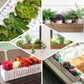 White rectangular wood planter box set with removable liners, featuring various plants.