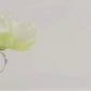 Ivory floral napkin holder with silk peony flower for dining table settings.