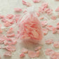 10 Pack | 3x4inch Blush/Rose Gold Organza Drawstring Wedding Party Favor Gift Bags
