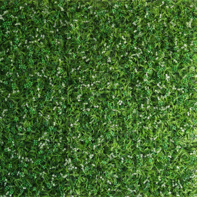 Versatile Applications for Any Event