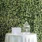 11 Sq ft. | White Tip Green Boxwood Hedge Genlisea Garden Wall Backdrop Mat
