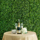 11 Sq ft. | Green Boxwood Hedge Locust and Cypress Garden Wall Backdrop Mat