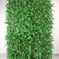 12 Sq. ft. | Artificial Boston Fern Eucalyptus Boxwood Greenery Garden Wall