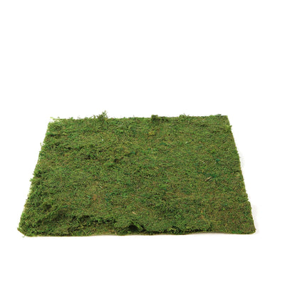 Transform Your Space with Natural Moss