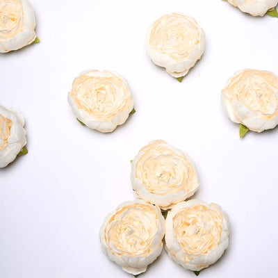 Realistic Appearance