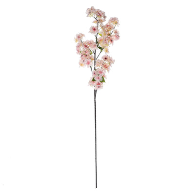 Realistic Detail of Blush Cherry Blossom Flowers