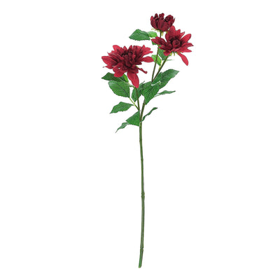 Elevate Your Decor with Burgundy Dahlia Stems