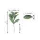Frosted green artificial lambs ear leaf indoor plant, 24 inches tall.