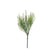 Sagebrush fern