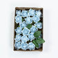 Artificial Dusty Blue Foam Flowers 2 Inch with Flexible Stems and Leaves 24 Roses