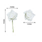 2 Inch White Foam with Flexible Stem and Leaves 24 Roses
