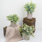 3 Plant Set | 9" Mini Potted Artificial Eucalyptus, Rosemary and Boxwood Faux Planter Collection