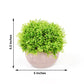 Artificial Boxwood Topiary Potted Planter 2 Plant Set 5 Inch Mini