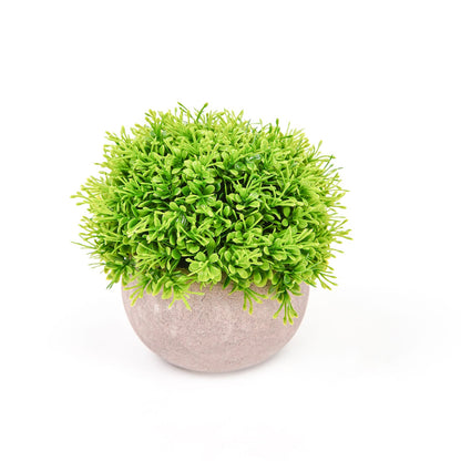 5 Inch 2 Potted Planter Set of Mini Artificial Boxwood Topiary#whtbkgd