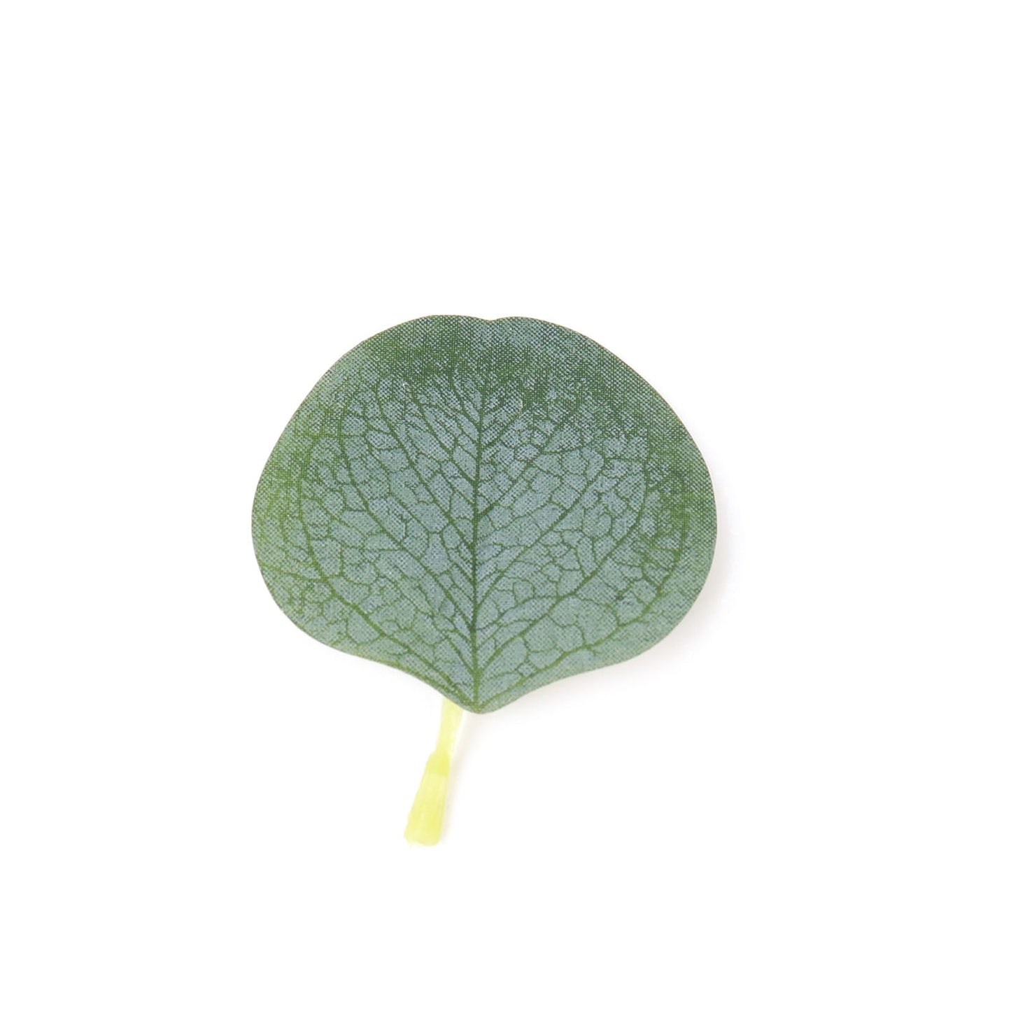 Frosted green eucalyptus leaf, perfect for cake decorations and table scatters.
