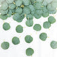 Frosted green eucalyptus leaves for cake decorations and table scatters.