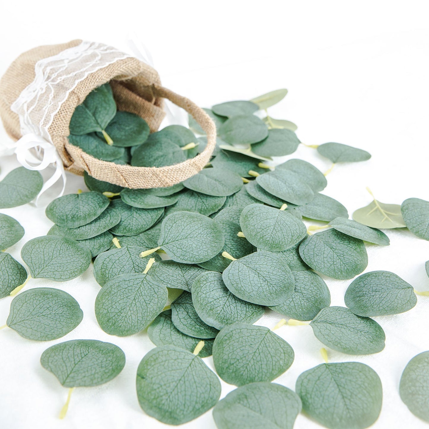 Frosted green eucalyptus leaves for cake decorations and table scatters.