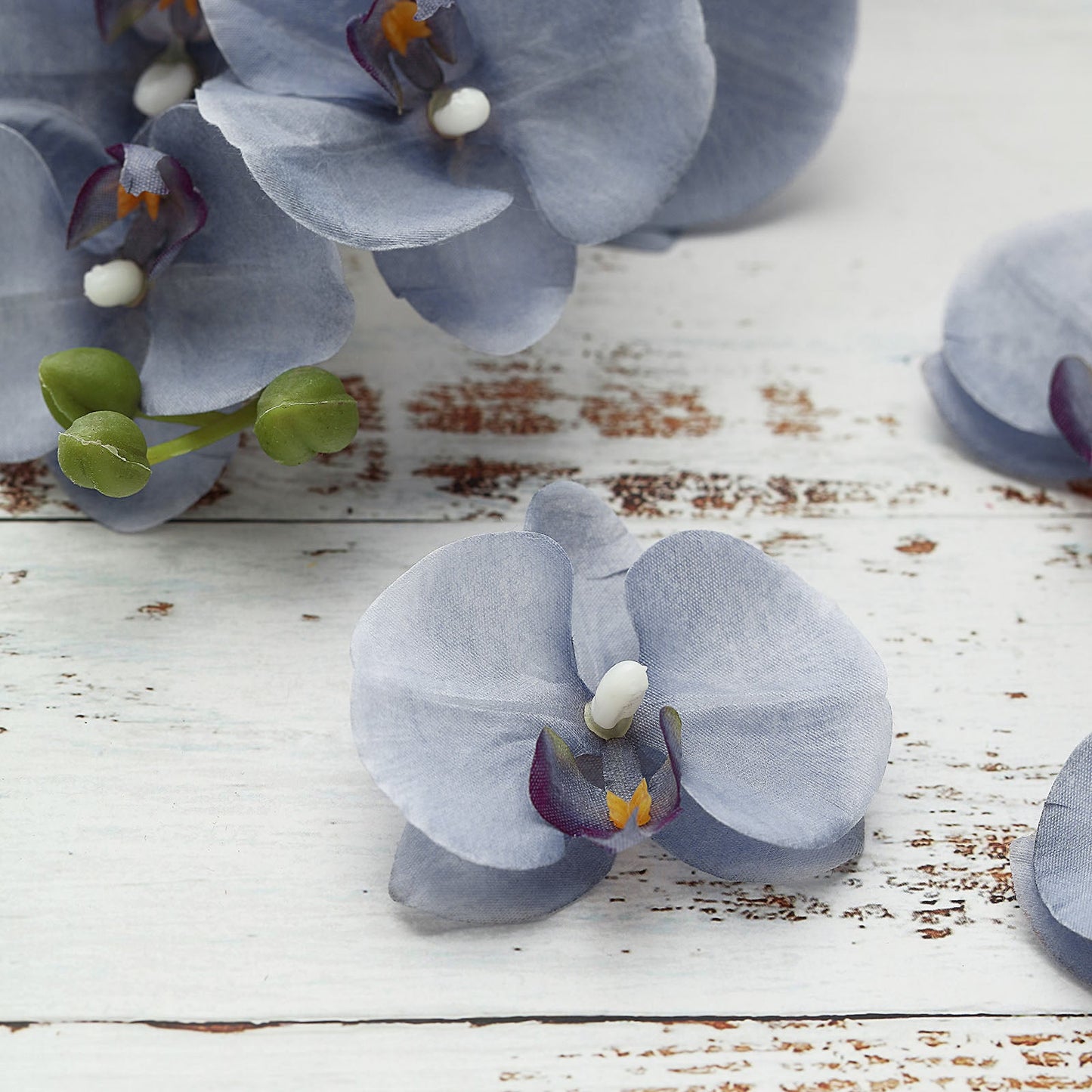 Charcoal gray artificial silk orchid flower heads for DIY crafts.
