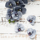 Charcoal gray artificial silk orchids for DIY crafts.