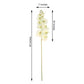 40 Inch Tall Artificial Silk Orchid Flower Bouquet Cream 2 Stems 