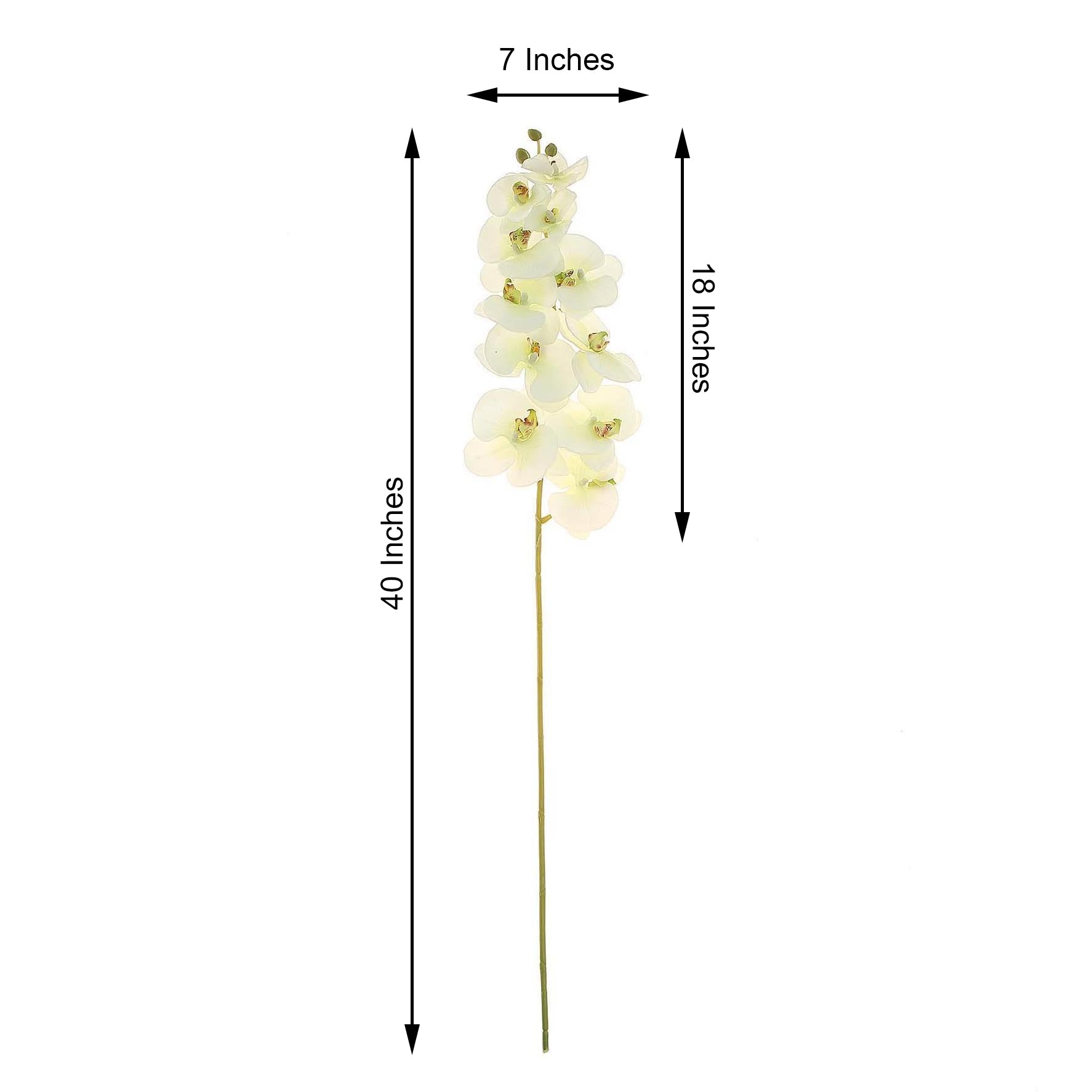 40 Inch Tall Artificial Silk Orchid Flower Bouquet Cream 2 Stems 