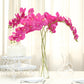 2 Stems | 40" Tall Fuchsia Artificial Silk Orchid Flower Bouquets