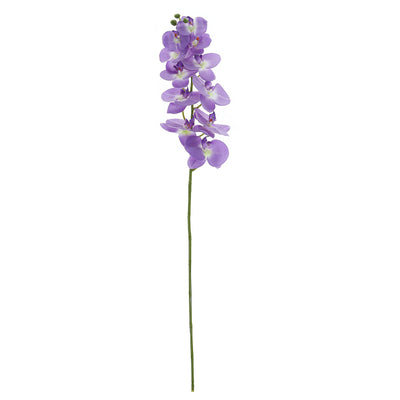 Lifelike Design of Lavender Lilac Orchids