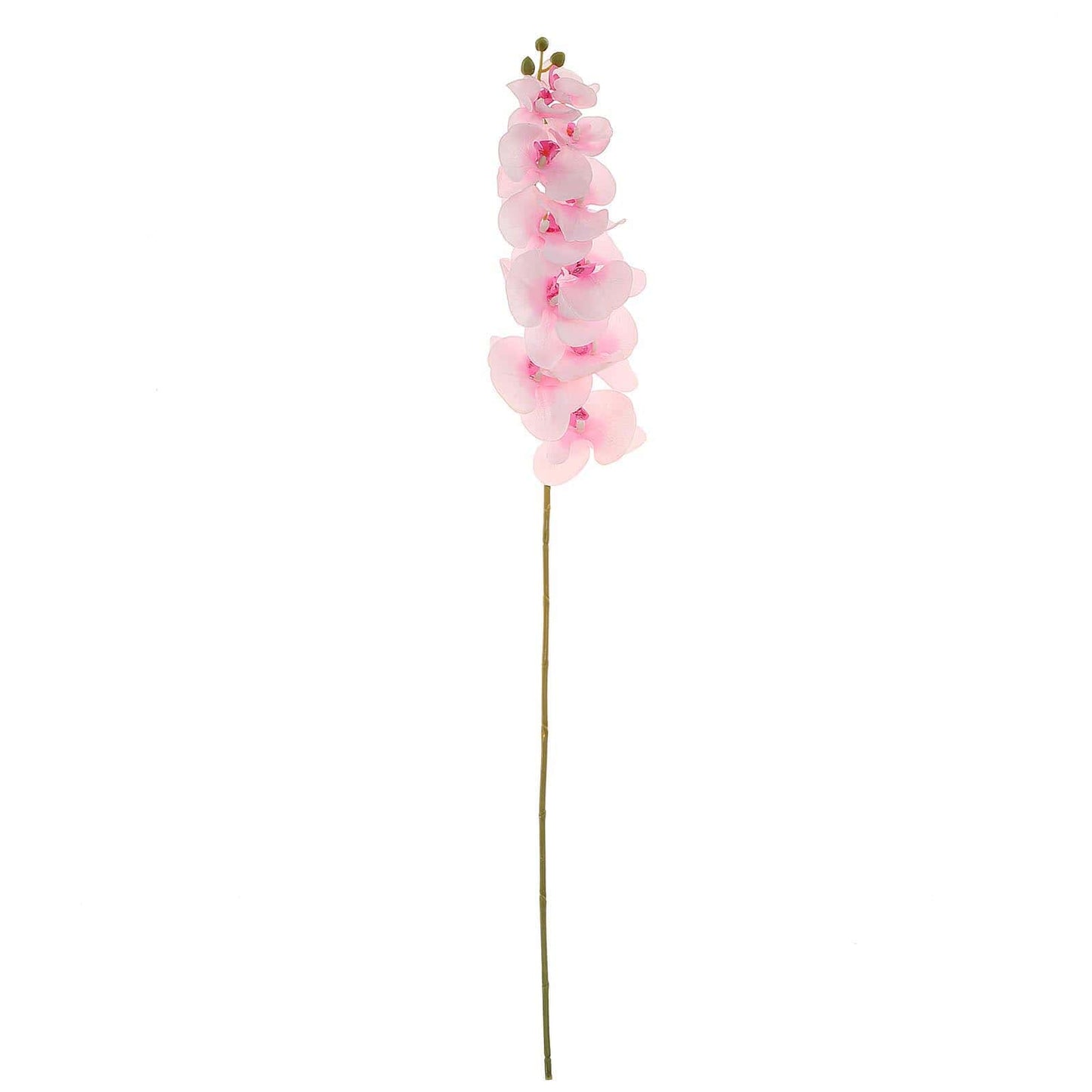 2 Stems | 40inch Tall Pink Artificial Silk Orchid Flower Bouquets#whtbkgd