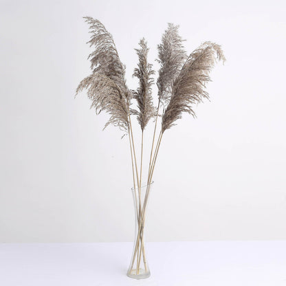 32" natural tint dried pampas grass plant sprays in beige tones.