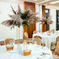 Natural tint dried pampas grass plant sprays in a decorative arrangement.