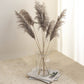 Natural tint dried pampas grass in a clear vase on a table.