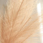 Taupe artificial pampas grass plant sprays in a decorative vase.