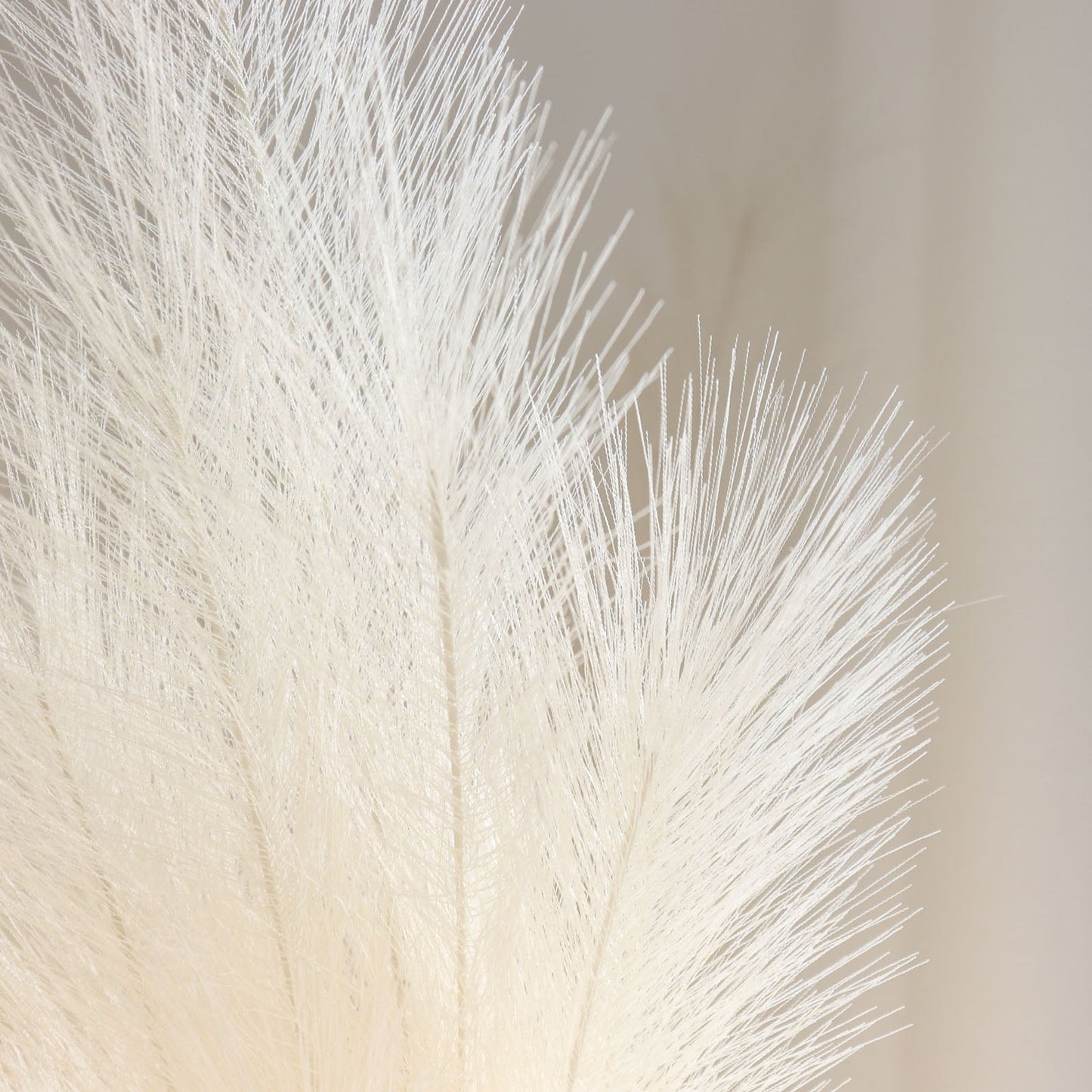 Cream artificial pampas grass plant sprays in a vase arrangement.