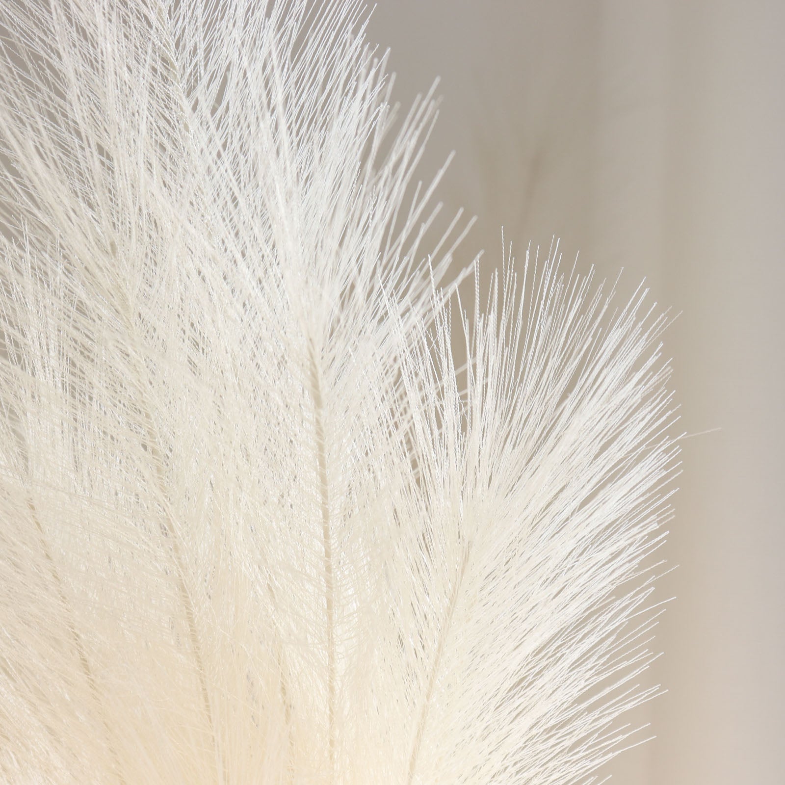 Cream artificial pampas grass plant sprays in a vase arrangement.