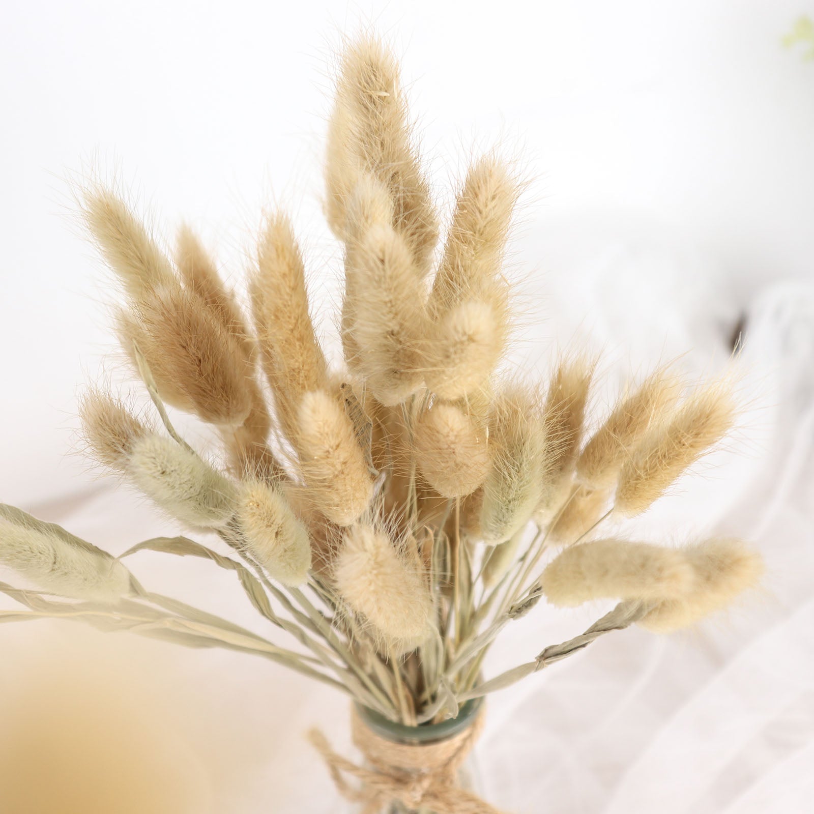 15" Natural Dried Pampas Grass Flower Bouquet in soft beige tones.