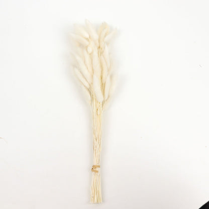 15" Natural White Rabbit Tail Dried Pampas Grass Flower Bouquet, Boho Stem Arrangement