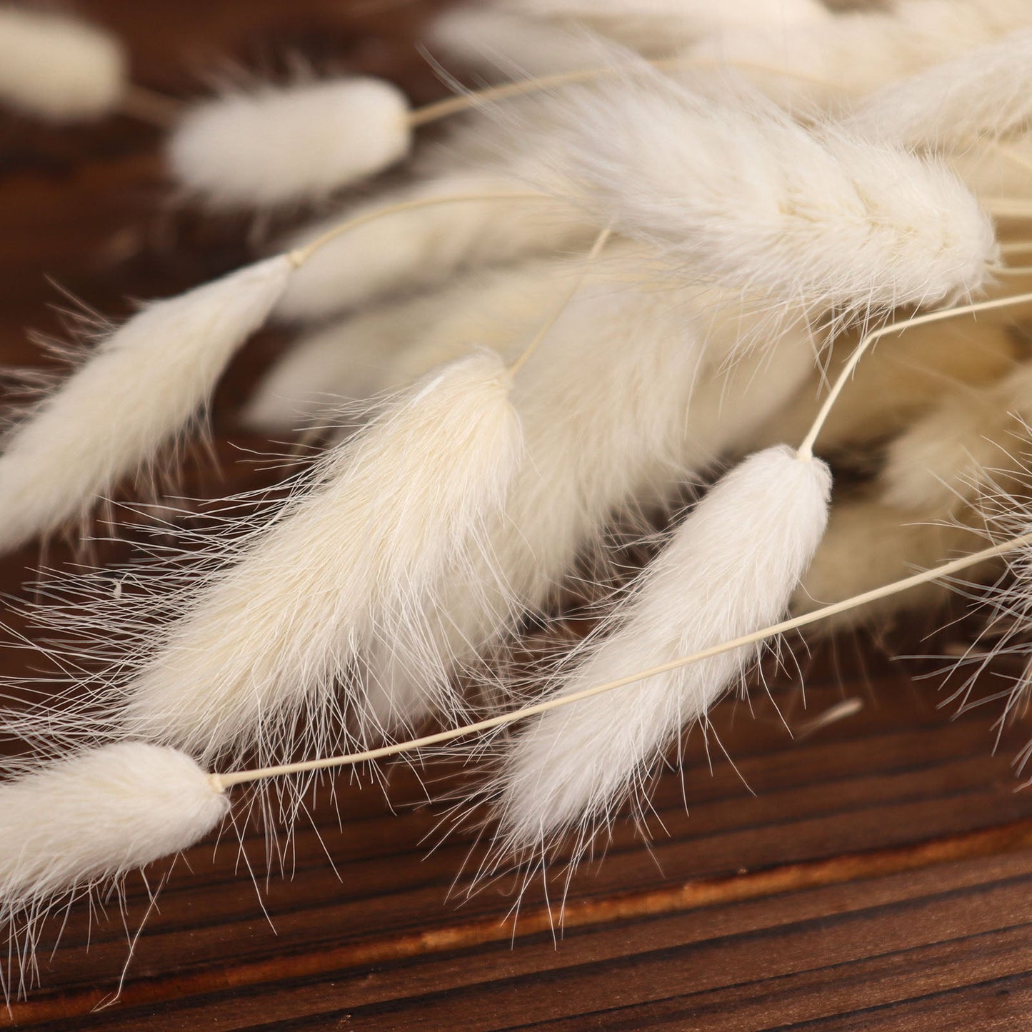 15" Natural White Rabbit Tail Dried Pampas Grass Flower Bouquets, Boho Stem Arrangements #whtbkgd