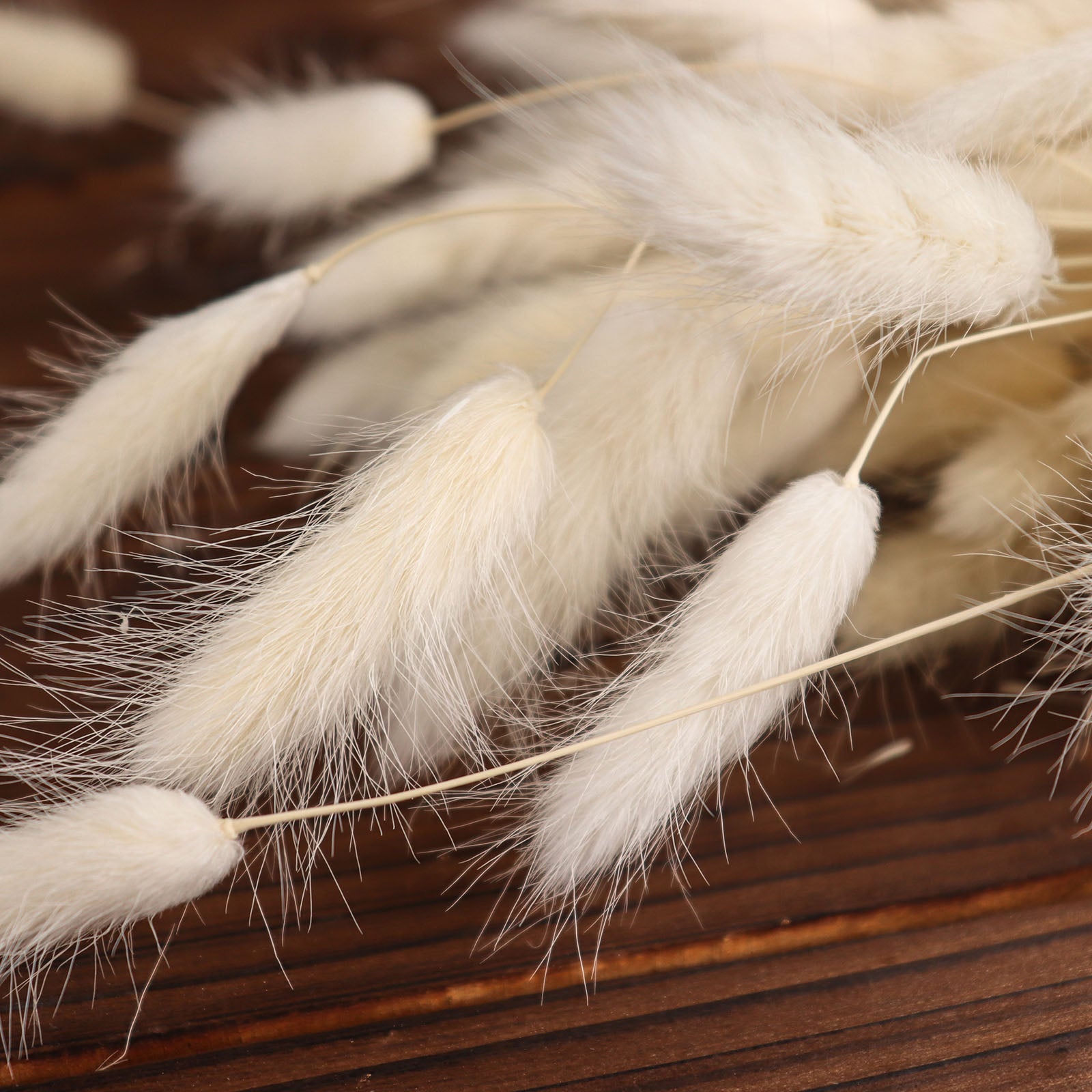 15" Natural White Rabbit Tail Dried Pampas Grass Flower Bouquets, Boho Stem Arrangements #whtbkgd
