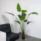 6ft green faux potted Bird of Paradise plant in a modern interior setting.