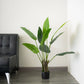 3ft Faux Potted Bird of Paradise Plant in vibrant green.