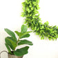 21" Green Artificial Jasmine Leaf Spring Wreaths in vibrant green.
