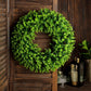 21" Green Eucalyptus Leaf Wreath - Lifelike Spring Decor (2 Pack)