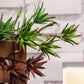 Assorted green artificial yucca and aloe vera succulent plants in a wooden planter.