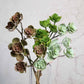 Assorted artificial succulent air plants in green and brown hues.