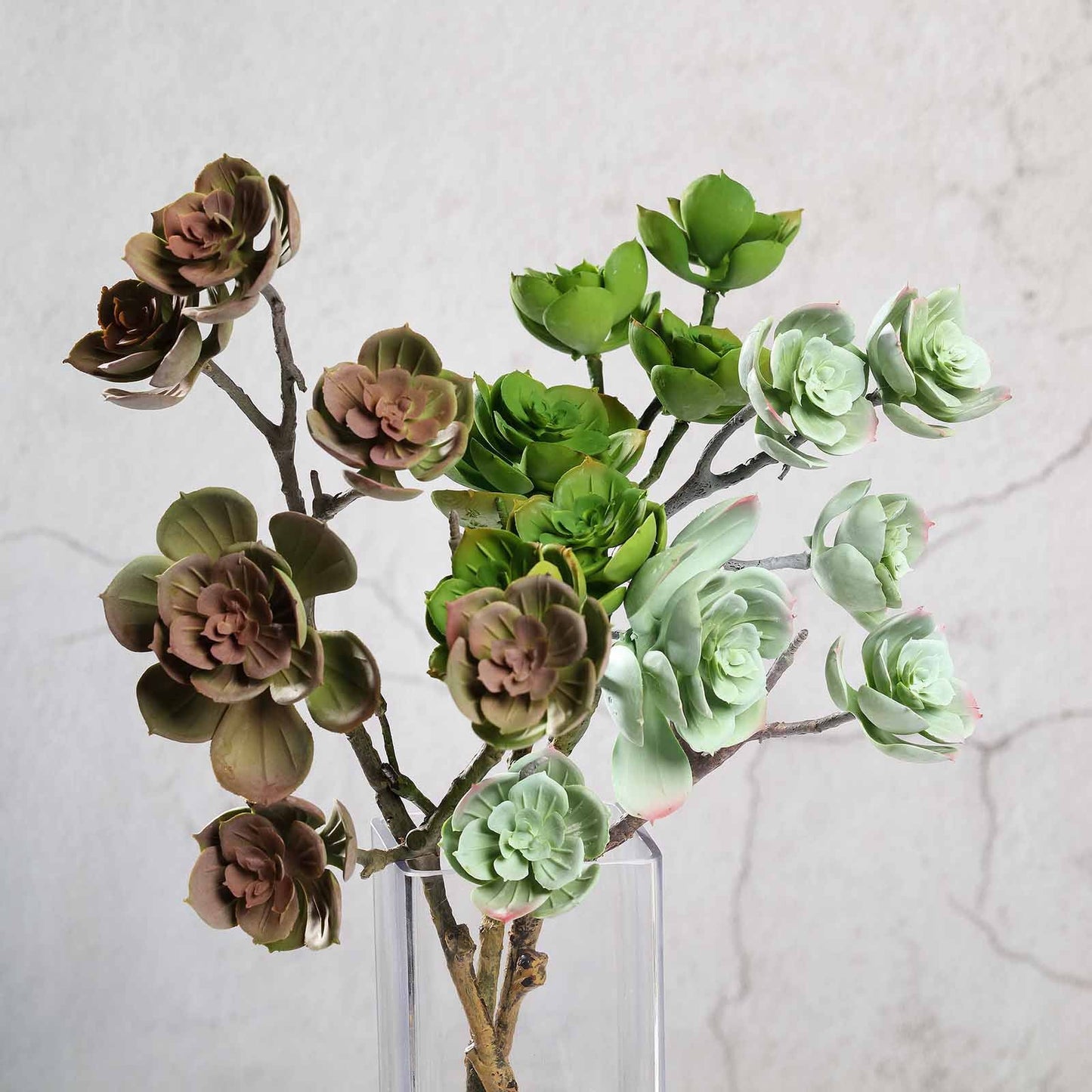 Assorted artificial succulent air plants in green and brown hues.
