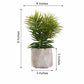 3 Pack | 8inches Ceramic Planter Pot & Artificial Crassula Succulent Plants
