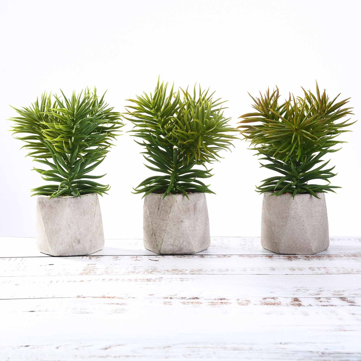 3 Pack | 8inches Ceramic Planter Pot & Artificial Crassula Succulent Plants#whtbkgd